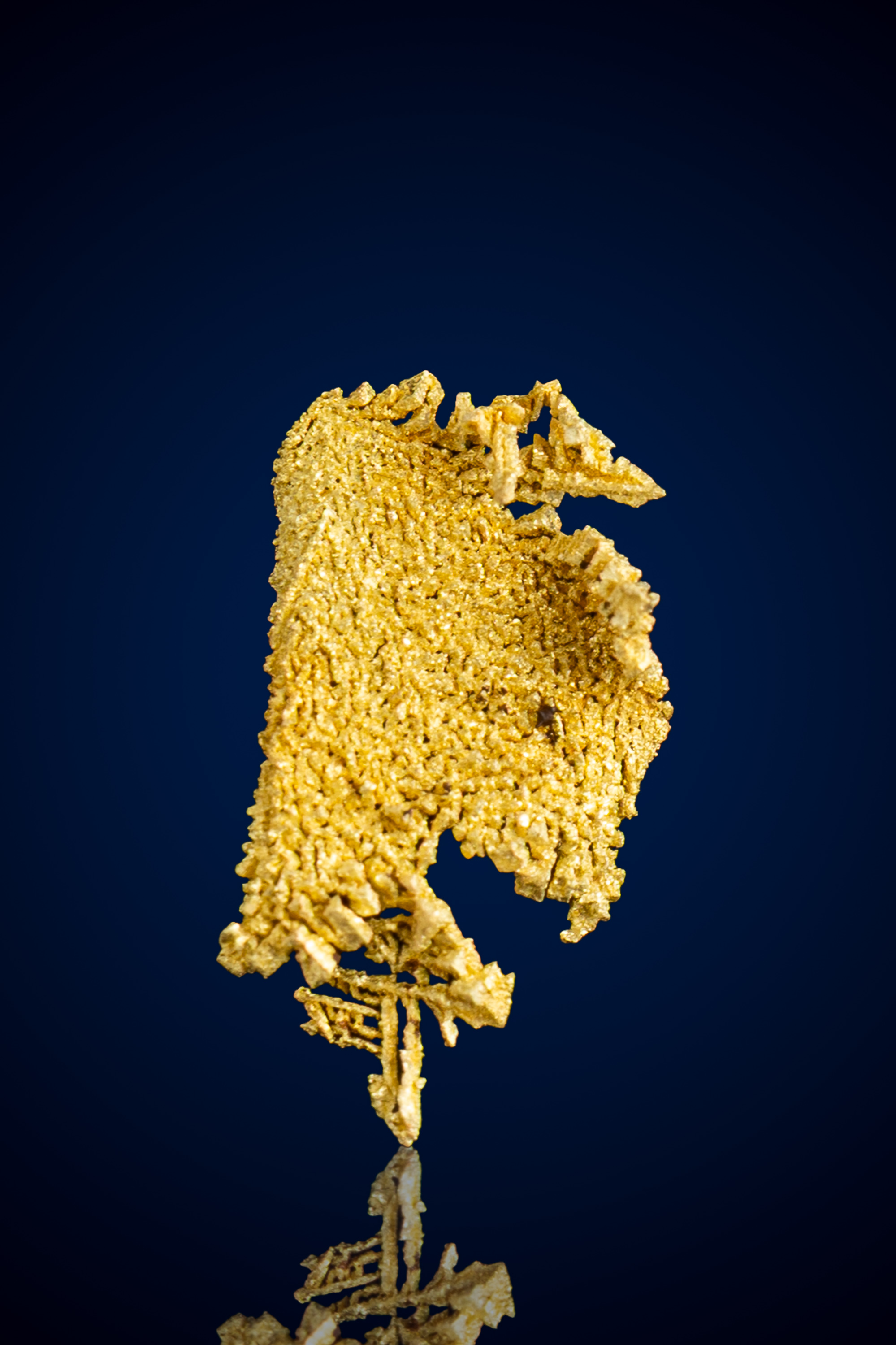 (image for) Gorgeous, Crystallized Natural Gold Specimen - Round Mountain, NV - 0.44 grams